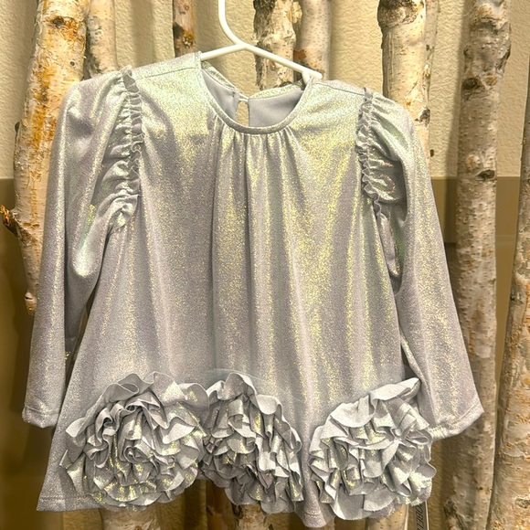 Isobella & Chloe Other - NWT Isobella & Chloe Size 2t, silver dress